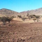Biocys sobre la desertificación y megasequía: “Es uno de los problemas medioambientales más grandes que nos estamos enfrentados como país”