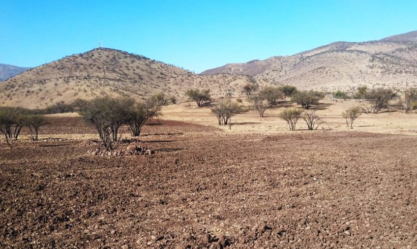 Biocys sobre la desertificación y megasequía: “Es uno de los problemas medioambientales más grandes que nos estamos enfrentados como país”